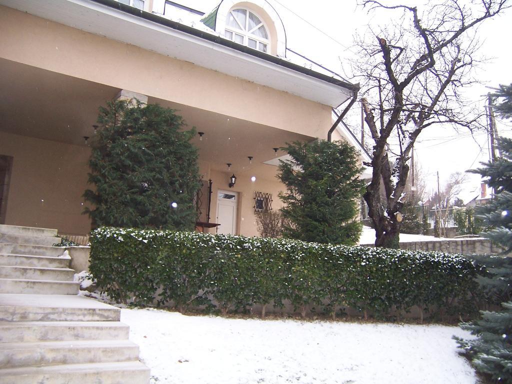 Villa Szekely Leányfalu Buitenkant foto